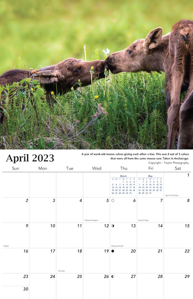 Alaska Wildlife Calendar 2023 - April