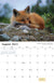Alaska Wildlife Calendar 2023 - August