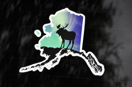 Aurora Moose Window Decal (Special)