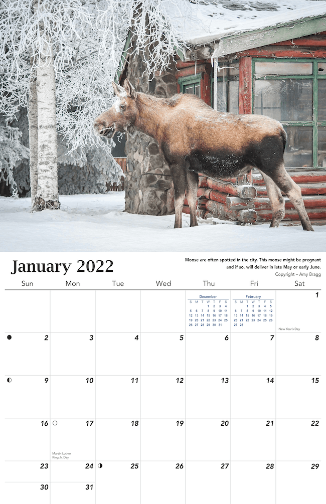 2022 Alaska Wildlife Calendar