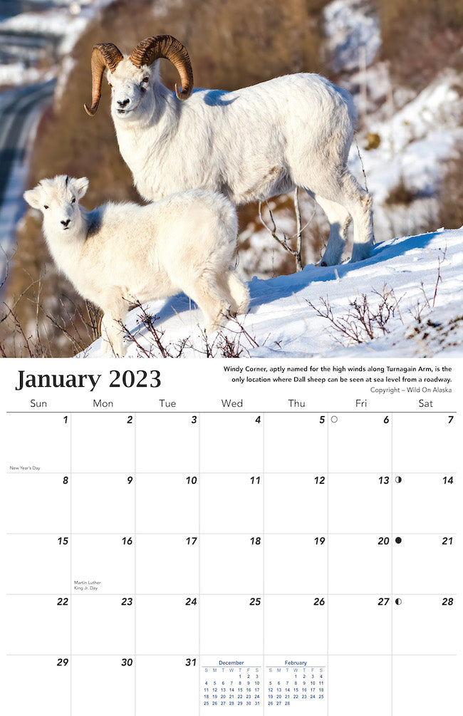 Alaska Wildlife Calendar 2023 - January
