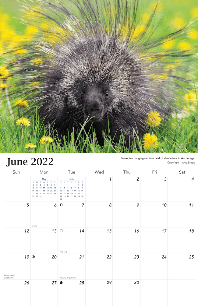 2022 Alaska Wildlife Calendar