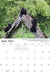 Alaska Wildlife Calendar 2023 - June
