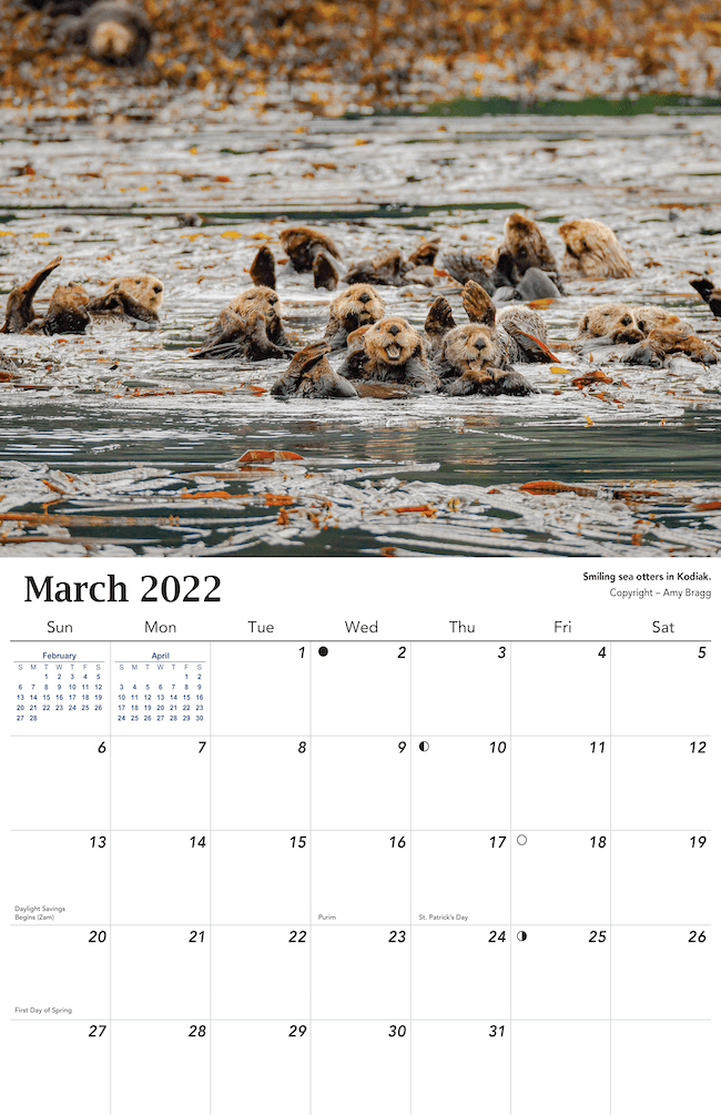 2022 Alaska Wildlife Calendar