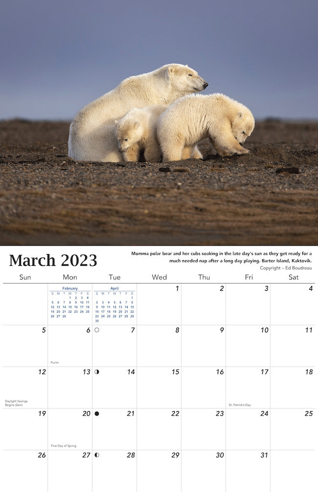 Alaska Wildlife Calendar 2023 - March