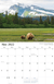 2022 Alaska Wildlife Calendar
