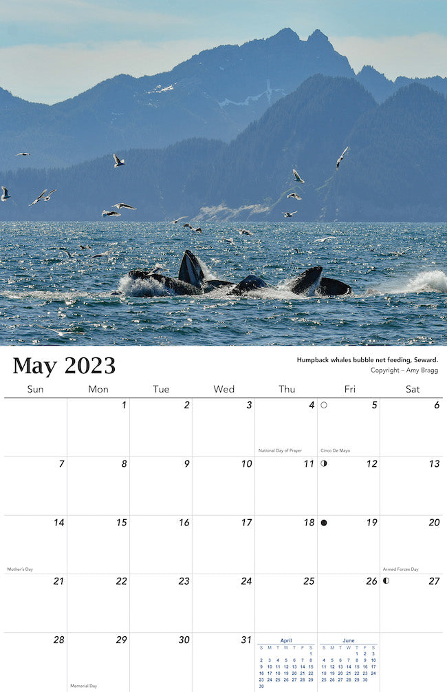 Alaska Wildlife Calendar 2023 - May