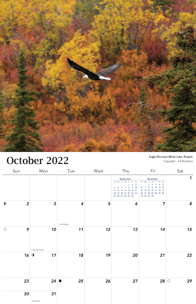 2022 Alaska Wildlife Calendar