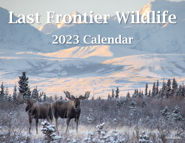 Alaska Wildlife Calendar 2023 - Cover